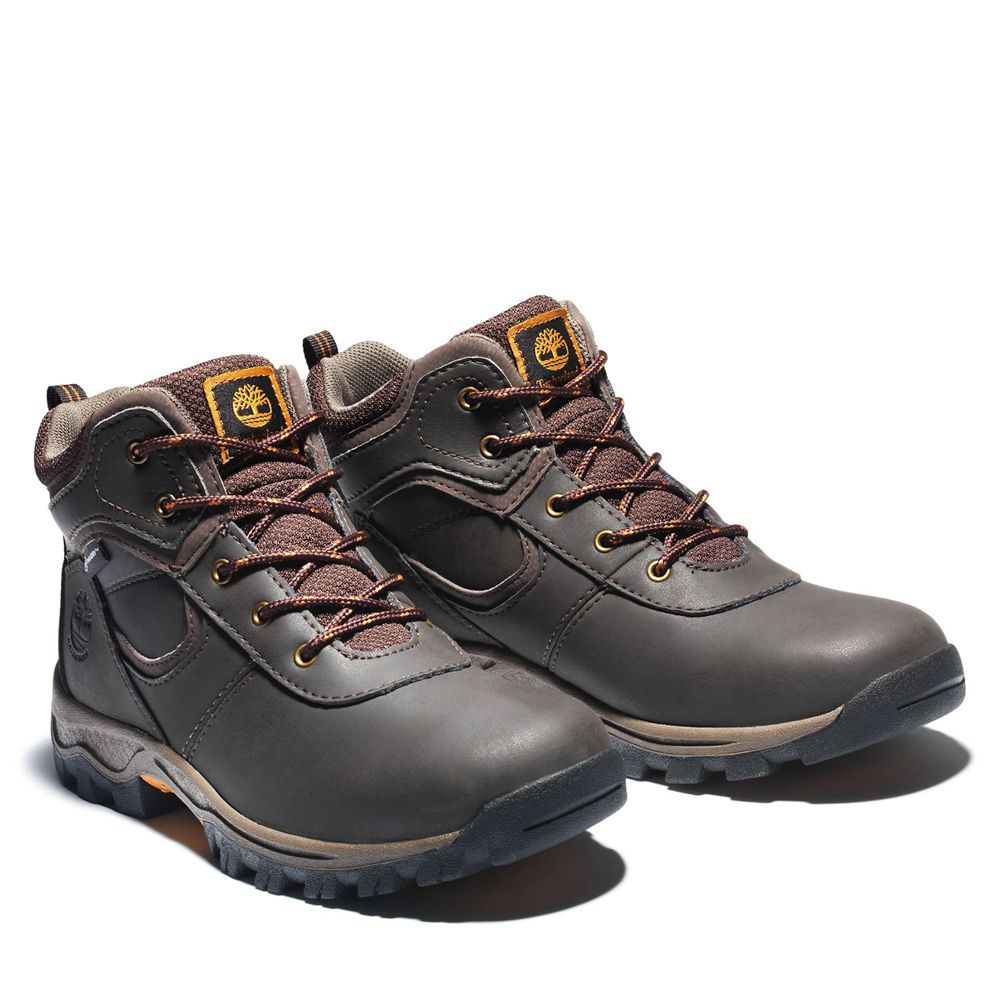 Botas de Montaña Timberland Argentina Niños - Junior Mt. Maddsen Waterproof - Marrones Oscuro - XNQE